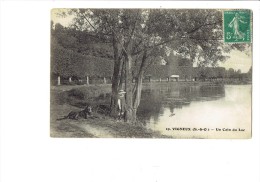 91 - VIGNEUX - 1913 - Un Coin Du Lac - Fillet Gros Chien Arbre -  N°19 - Francis Photographe Montgeron - - Vigneux Sur Seine