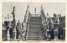 CASTELO BRANCO - Escadaria Dos Reis - Paço Episcopal - 2 Scans PORTUGAL - Castelo Branco