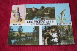 MULTIVUE  °   LES RICEYS   SES PROMENADE ? SON VIN   SES TRUITES   LE 24 09 1969 - Les Riceys