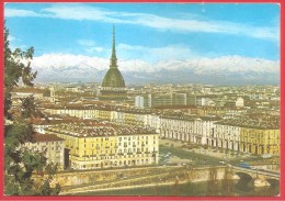 CARTOLINA NV ITALIA - TORINO - Panorama - 10 X 15 - Mehransichten, Panoramakarten