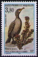 Saint Pierre And Miquelon 1997 Fauna, Flora MNH - Cigognes & échassiers
