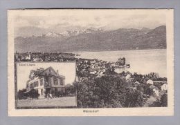 ZH MÄNNEDORF 1920.VIII.2. Rapperswil  Hotel Löwen Und Totalansicht Foto #04906 - Männedorf