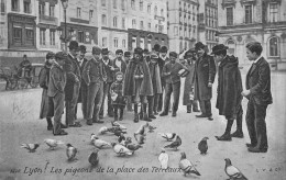 69 LYON - Les Pigeons De La Place Des Terreaux - Other & Unclassified