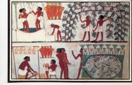 P3923 Tomb Of Nacht Tombs Of The Nobles  Egypt Luxor  Front/back Image - Louxor