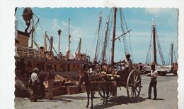 P3807 Trinidad Wharfside Coconut Vendor Port Of Spain  Chariot  Front/back Image - Trinidad