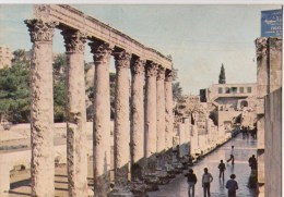 P3757 Roman Theatre Column S Amman Jordan  Front/back Image - Jordanie