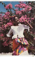 P3710 Curacao Netherlands Antiles Native Girl Types Posing Amongfront/back Image - Curaçao