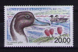 Saint Pierre And Miquelon 1999 Birds MNH - Ungebraucht