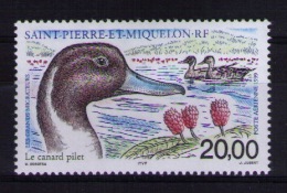Saint Pierre And Miquelon 1999 Birds MNH - Nuevos
