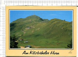 Am  Kitzbuheler   Horn Das Ideale Wanderparadies Mit Alpenblumengarten - Kitzbühel