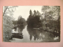 CPSM   BALLANCOURT   LES BORDS DE L ESSONNE AU PETIT SAUSSAYE   - ECRITE EN 1964 - Ballancourt Sur Essonne