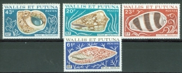 Wallis & Futuna 1976 Shells MNH**  - Lot. 2427 - Nuevos