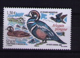 Saint Pierre And Miquelon 2008 Birds (fauna) MNH - Nuevos