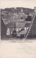 PANORAMA DE LA VILLE HAUTE - Geraardsbergen