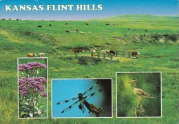 Kansas Flint Hills Wickhita Kansas - Wichita