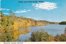 Minnesota Autumn Splendor Hello From Pine River Minnesota 1981 - Andere & Zonder Classificatie