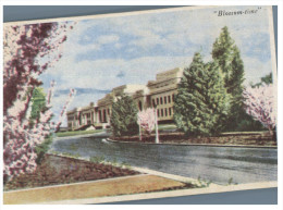 (PH 416) Australia - ACT - Canberra And Parliament At Blossom Springtime (older Postcard) - Canberra (ACT)