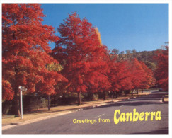 (PH 416) Australia - ACT - Canberra - 9 Views - Canberra (ACT)