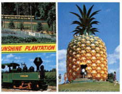 (PH 416) Australia - QLD - Sunshine Plantation - Big Pineapple - Train - Sunshine Coast