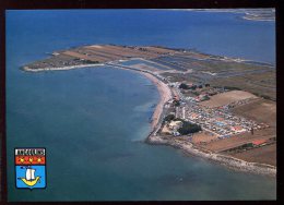 CPM 17 ANGOULINS Vue Aérienne Du Camping De La Plage Et De La Pointe Du Chay - Angoulins