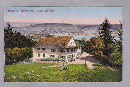 ZH STALLIKON 1918.VI.9. Stallikon  Uetliberg-Baldern Mit Blick Auf Zürichsee Photoglob - Stallikon