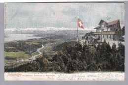ZH STALLIKON 1906.XI.14. Adliswil  Felsenegg Mit Sihlthal, Zürichsee U. Alpenkette Foto Wehrli - Adliswil
