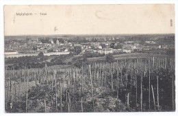 CPA Molsheim 67 Bas Rhin Panorama Vue Générale édit Reinicke & Rubin Dresden N°41006 - Molsheim