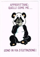 M2350 Humor Houmor - Approfittane, Quelli Come Me Sono In Via D'estinzione - Bambino Panda / Non Viaggiata - Humorvolle Karten