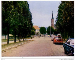 SOTTEVILLE LES ROUEN - Entrée Du Stade, Bd  14 Juillet Avec En Arrière Plan, L´Eglise St Vincent De Paul - Véhicules - Sotteville Les Rouen