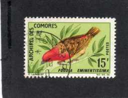 COMORES (Archipelle) : Oiseaux : Foudia Eminentissima Ou Foudi Des Comores - Passereau - Famille Des Ploceidae - Gebraucht