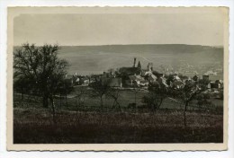 CPA  51  : CHATILLON SUR MARNE  Panorama  1949    A    VOIR  !!!! - Châtillon-sur-Marne