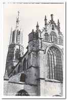 Hulst, Basiliek St. Willibrordus - Hulst