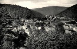 BELGIQUE - NAMUR - VRESSE-SUR-SEMOIS - ALLE-SUR-SEMOIS - Vue Du Petit-Monceau. - Vresse-sur-Semois