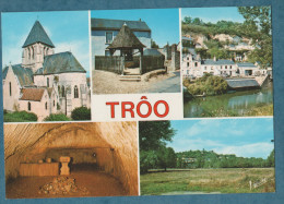 20 SCANS - 41 - TRÔO   -  La Ville Lot De 10  Cartes Postales Modernes - Non écrites - 5 - 99 Postkaarten