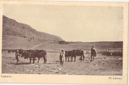 CPA Animée - LESSOUTO - Labours - Lesotho