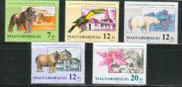 HUNGARY - 1991. Budapest Zoo,125th Anniv. / Gorilla,Polar Bear MNH! Mi 4136-4140 - Unused Stamps
