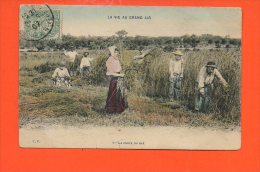 La Vie Au Grand Air - La Coupe Du Blé (couleur) - Landwirtschaftl. Anbau