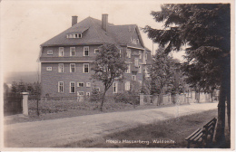 AK Masserberg (Thüringen) - Hospiz, Waldseite (4053) - Masserberg