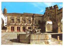 BAEZA ( Jaen, Andalucia, Espana): Plaza Del Populo; Fuente De Los Leones / Fontaine Des LIONS, TTB !!!! - Jaén