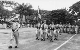 BRAZZAVILLE CARTE PHOTO DEFILE DU 11 NOVEMBRE 1954 - Brazzaville