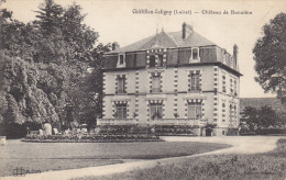 (d) Chatillon Coligny - Chateau De Bonnière - Chatillon Coligny
