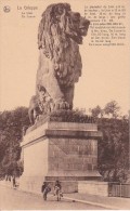 CPA La Gileppe - Le Lion (4102) - Eupen