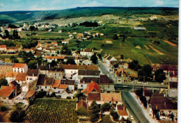 CPSM GEVREY CHAMBERTIN (21): Vue Générale Aérienne - Gevrey Chambertin