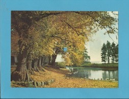 HOLSTEIN - Herbststimmung In Schleswig - BUONA SERA - Record Postcard - Big Format ( 210 X 150 ) - 2 SCANS - Spielkarten