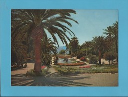 SAN REMO - PIOVE - Record Postcard - Big Format ( 210 X 150 ) - 2 SCANS - Carte Da Gioco