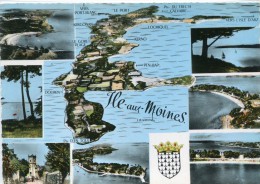 CPSM 56 ILE AUX MOINES MULTI VUES 1964  Grand Format 15 X 10,5 - Ile Aux Moines