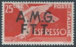 1947-48 TRIESTE A ESPRESSO DEMOCRATICA 25 LIRE MH * - ED258 - Poste Exprèsse