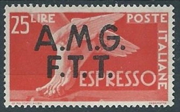 1947-48 TRIESTE A ESPRESSO DEMOCRATICA 25 LIRE MH * - ED259 - Poste Exprèsse