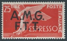 1947-48 TRIESTE A ESPRESSO DEMOCRATICA 25 LIRE MH * - ED259-2 - Eilsendung (Eilpost)