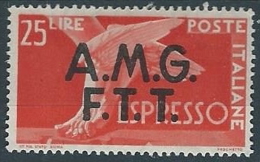 1947-48 TRIESTE A ESPRESSO DEMOCRATICA 25 LIRE MH * - ED259-3 - Eilsendung (Eilpost)